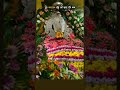 jai shree shyam #shyam #shyamdarshan #shyamkripa #jaishreeshyam #shyambhajan #shyamjibhakti #shiv