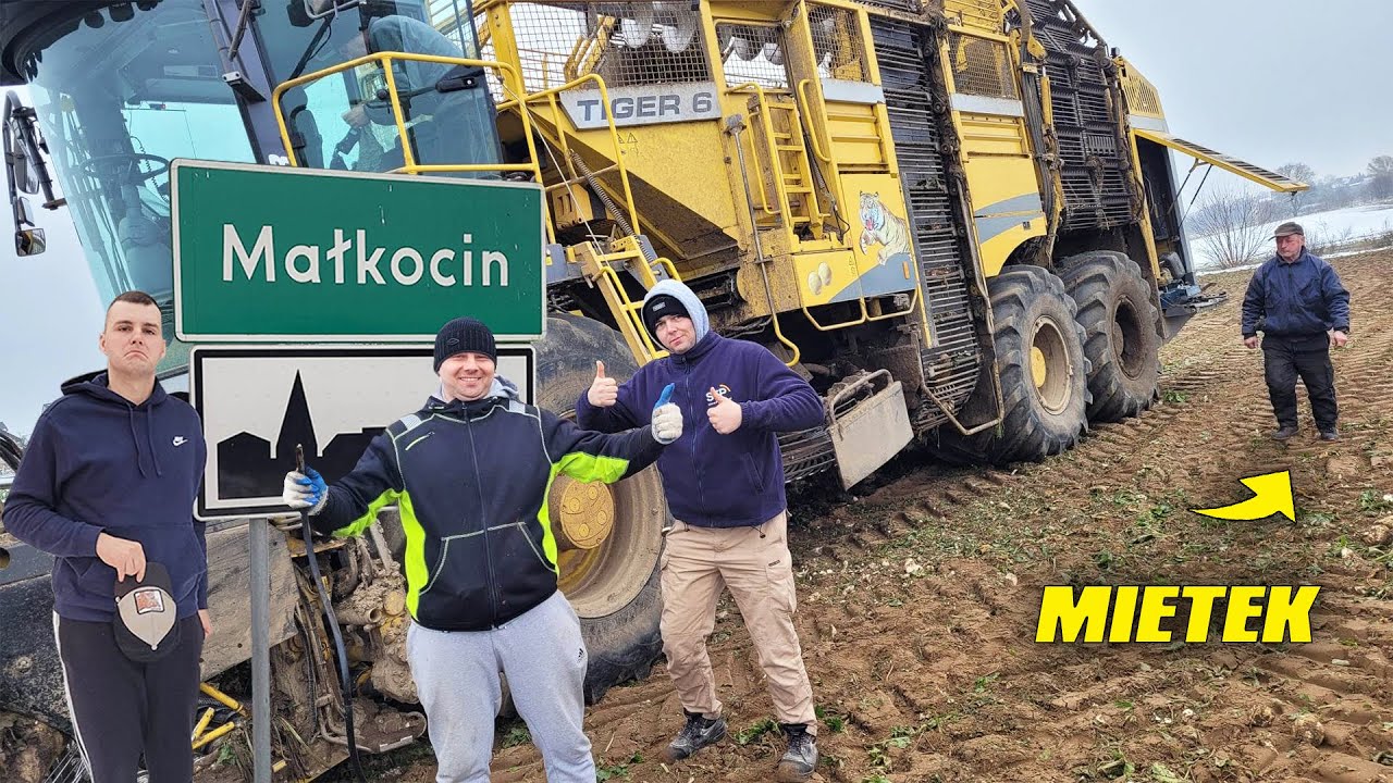 Kopanie Buraków Na Większą Skalę - Tego jeszcze Nie widziałem - Mietek i Bałtyk