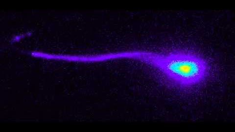 High speed ratiometric calcium imaging