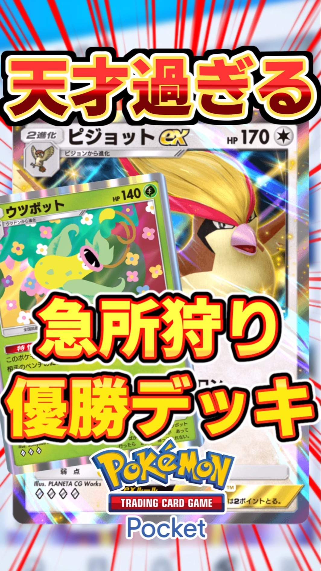 80858533-e450-4684-822c-