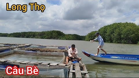 Trở lại Bè Long Thọ/ Câu cá Nâu Bằng lưỡi câu Lục/ Câu cá thiên nhiên
