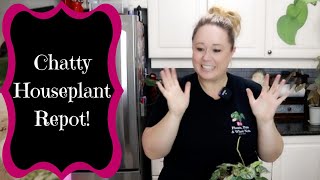 Chatty Houseplant Repot & New Plants!!
