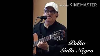 Miniatura de vídeo de "POLKA GALLO NEGRO - Guillermo Menacho"