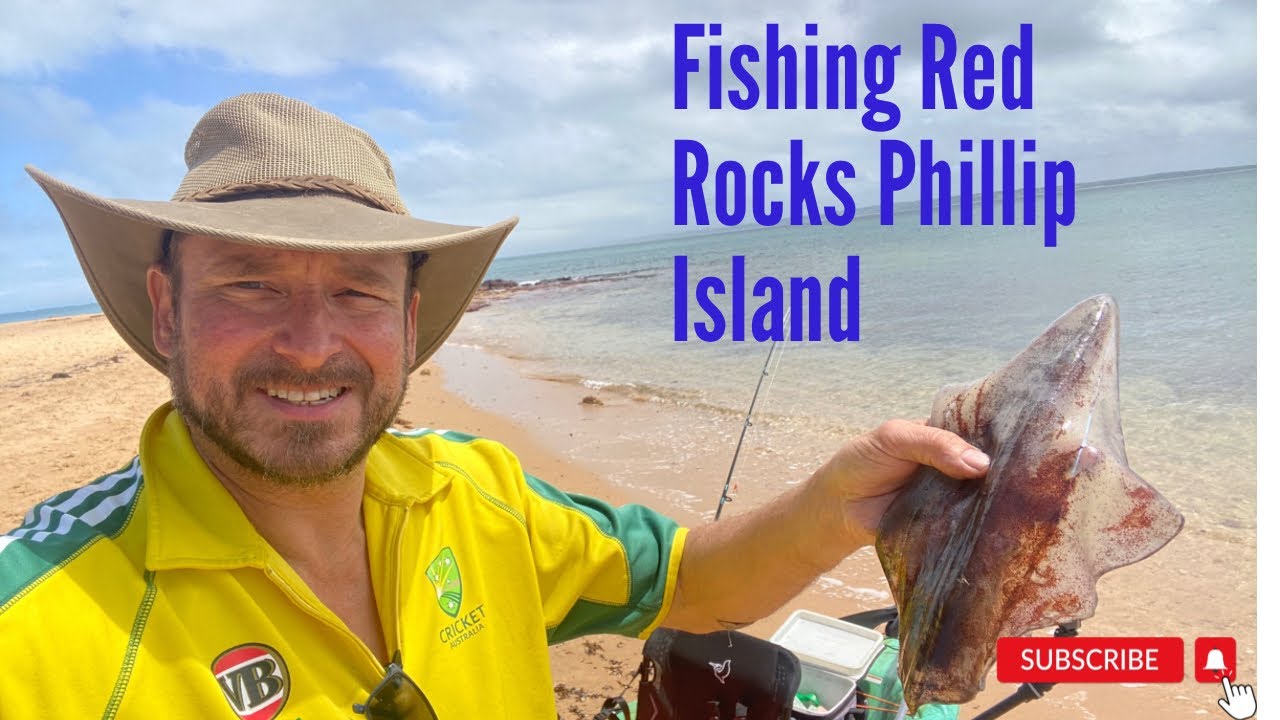 Fishing Red Rocks Phillip Island //020 - YouTube