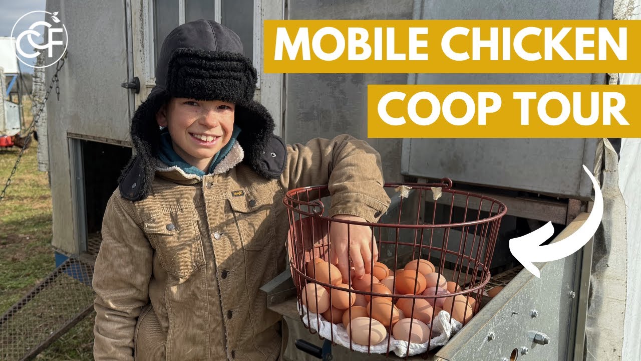 Подготовка к зиме для кур-несушек + обновленная экскурсия по курятнику | Ферма Crossing Creeks
