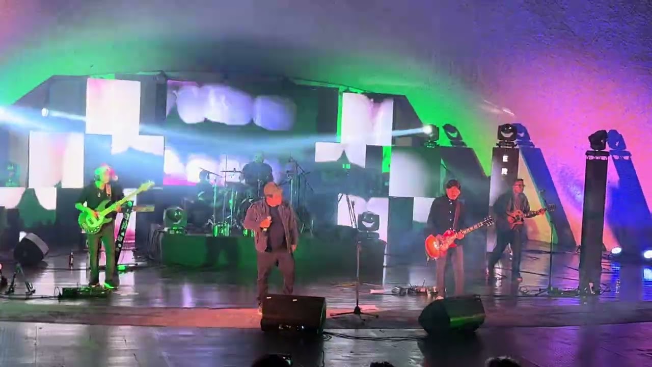 VIERNES VERDE — RABIA (LIVE)