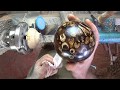 Vermec Sphere Jig, Video by Brendan Stemp