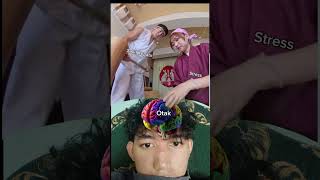 Download Lagu yoso hai yai yai MP3