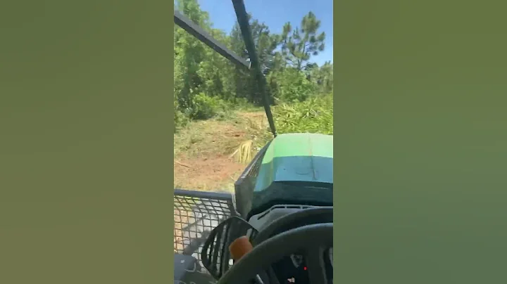 John Deere forestry mowing.#cowboy #powpow #quail #quailbirds #yeehawjunction#brownstreecutter