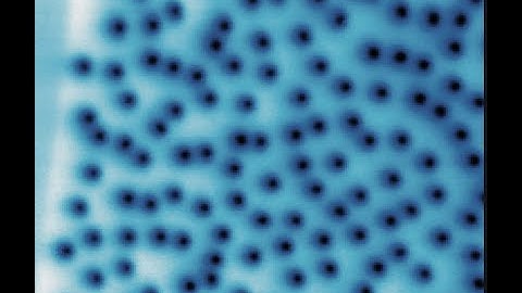 Abrikosov vortex lattice in Type II superconductors