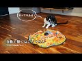 うちの猫たちに自動で動くおもちゃをあたえてみた