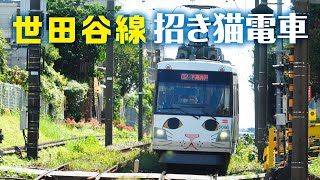のりもの事典［4K］【東急世田谷線】「幸福の招き猫電車」に遭遇。300