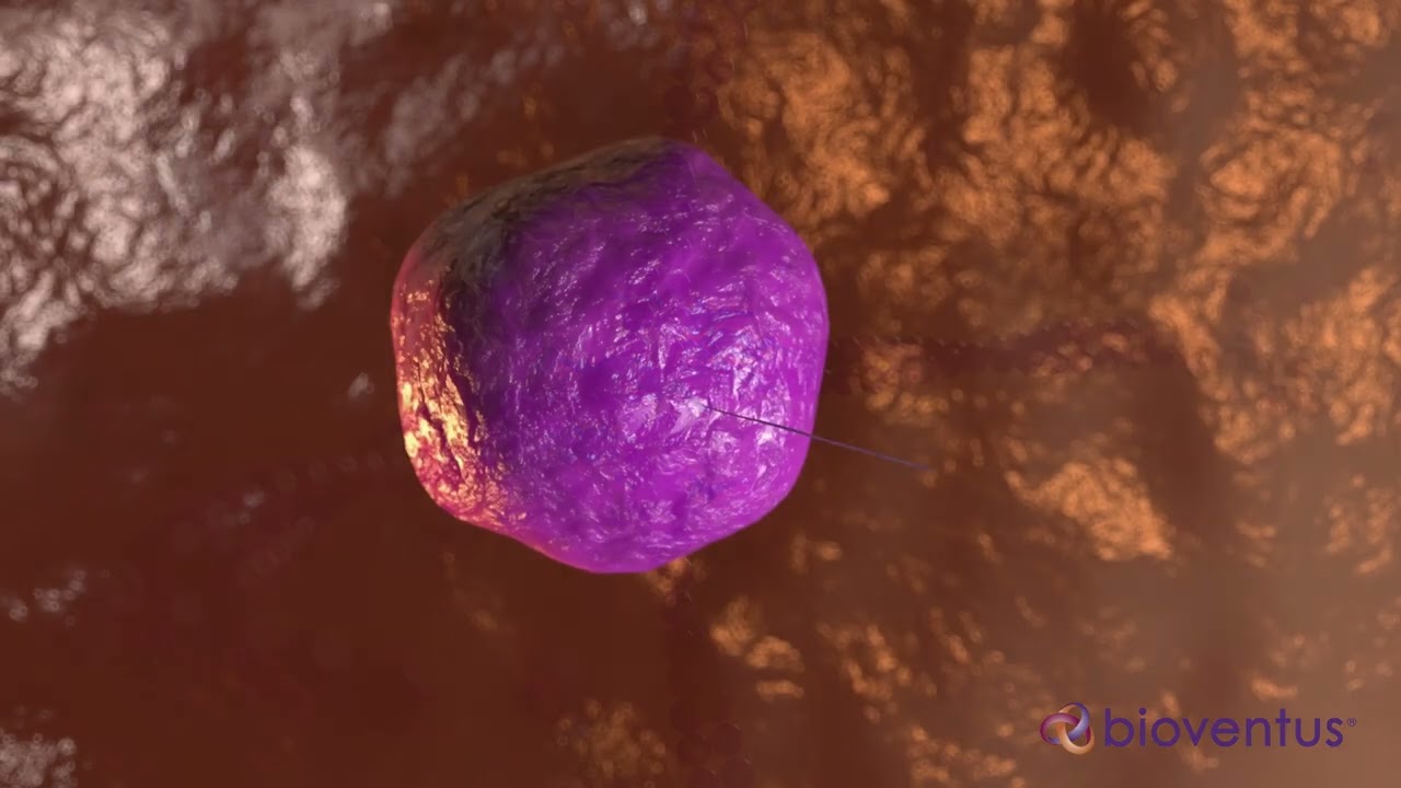 EXOGEN Mechanism of Action