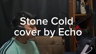 Stone Cold cover by Echo