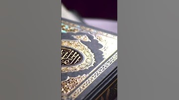 سورة الكوثر بصوت القارئ أسامة خلبوص