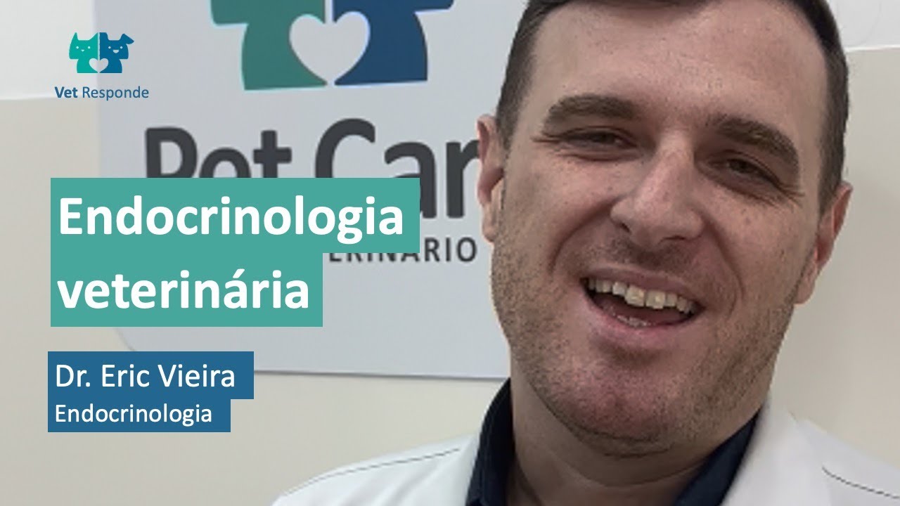 Vet Especialidades Endocrinologia Veterinária Dr. Eric Vieira YouTube