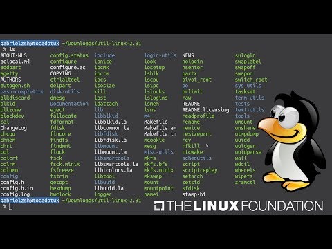 Vídeo: Por que usamos o comando mount no Linux?