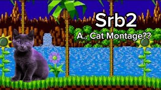 Srb2 Cat montage?
