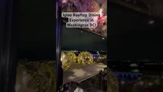 Igloo Rooftop Dining Experience in Washington DC!