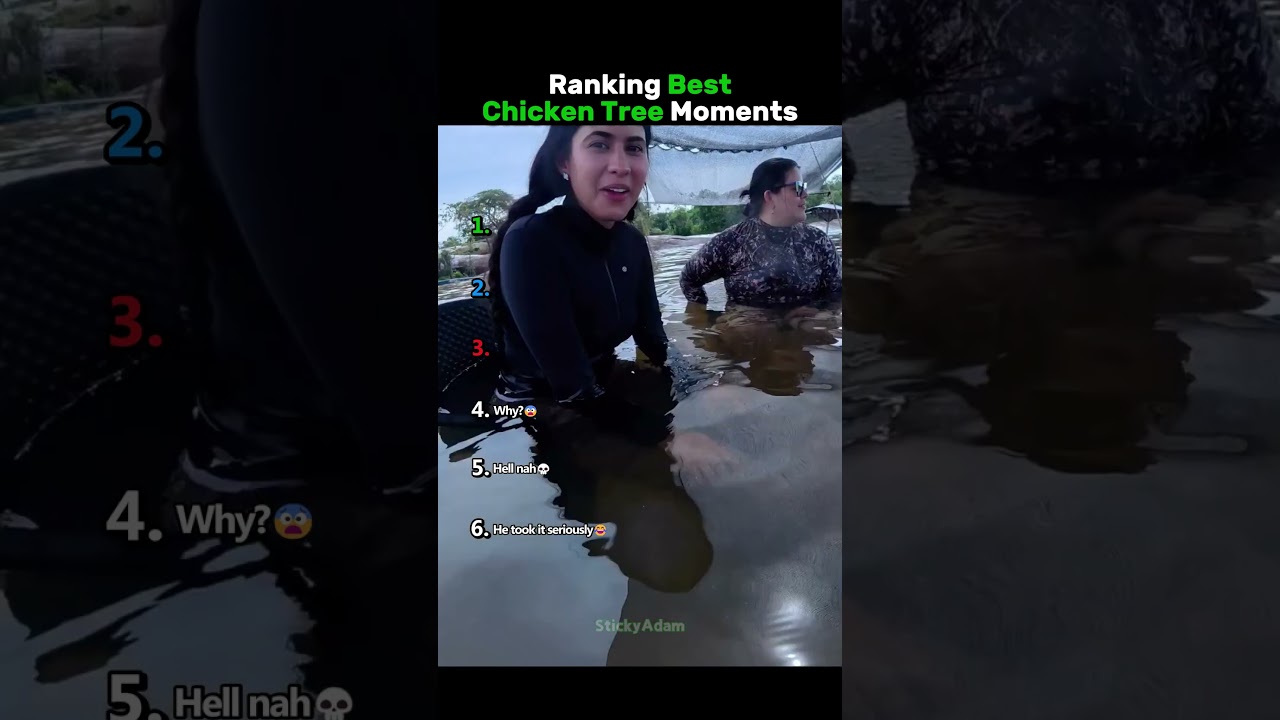 Ranking Best Chicken Tree Moments