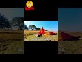 Nodi Totyo Shorts 14 | Watch full Video #bengalitravelvlog #motivation #ekmusafir #facts
