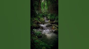 لا تهرب من القرآن الكريم #جيش_القلوب_الزرقاء