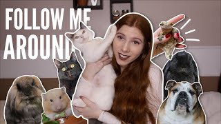 FOLLOW ME AROUND! Pet Vlog