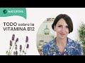 🌱 ¿Qué es la VITAMINA B12? | Suplementos y Recomendaciones
