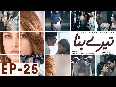 Tere Bina - Episode 25 | Har Pal Geo