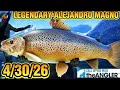 Alejandro Magno Is The Legendary Fish Active This Week 4/30/26 Spain - Call Of The Wild - The Angler