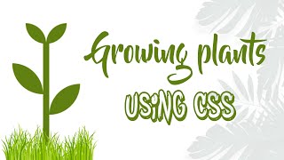 Growing Plants Pure CSS | CSS Animation | NoorHUB