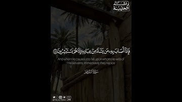 ﴿..فإذا أصاب به من يشاء من عباده إذا هم يستبشرون﴾ | القارئ: راشد الحليبة