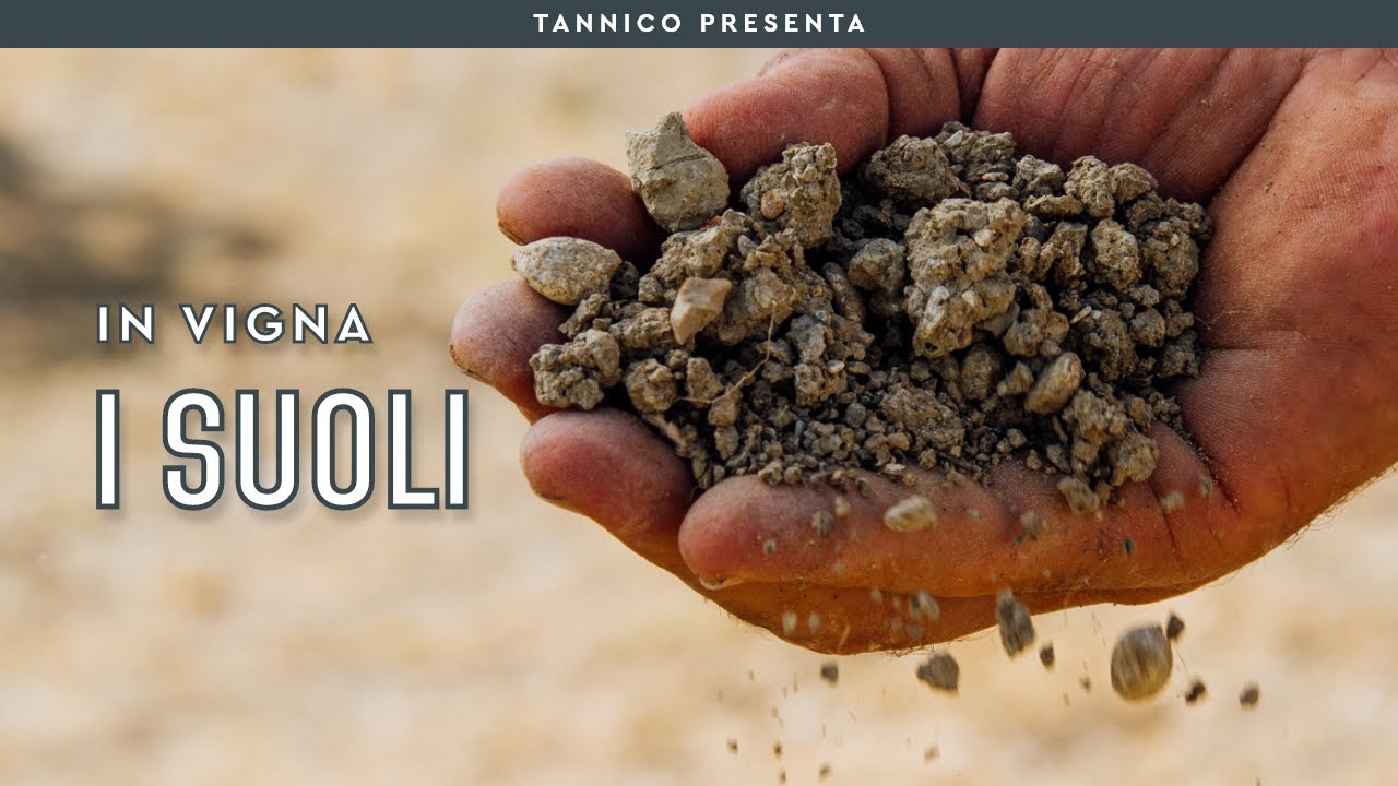 La composizione del terreno e le conseguenze sul vino | Tannico Flying School