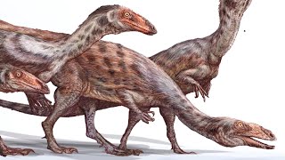 Coelophysis  The Triassic Icon