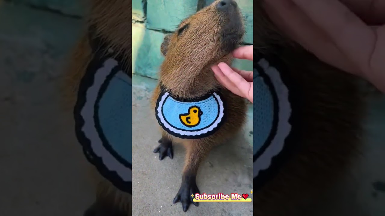 You Won't Believe How Sweet They Are!