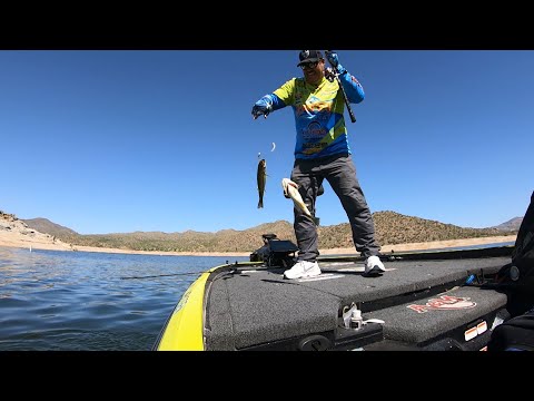 Fishing with Johnny Johnson - Double Swimbait at Bartlett Lake, AZ 