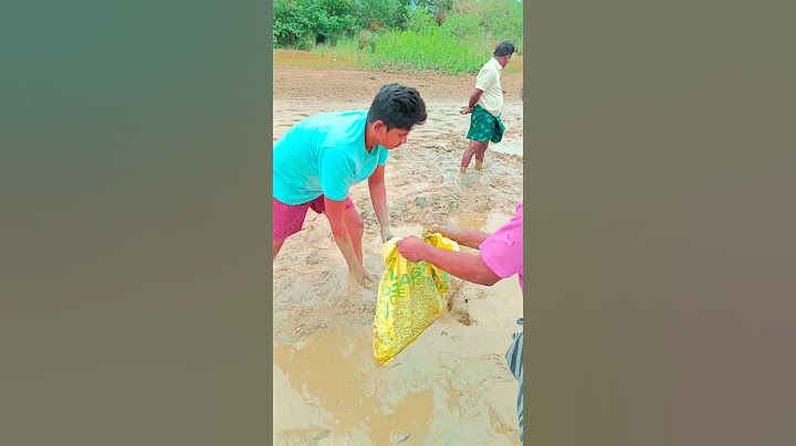 వామ్మో ఇన్ని చేపలా?#giftsofthenature #fishhunting #korramenu #shorts #villagefishing #village