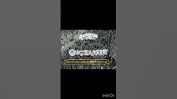 كَأَنَّهُنَّ الْيَاقُوتُ وَالْمَرْجَانُ (58) سورة الرحمن