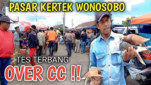 BELANJA MERPATI DIPASAR KERTEK WONOSOBO BANYAK PILIHAN MERPATI GIRINGAN SERU SERU PART1 
