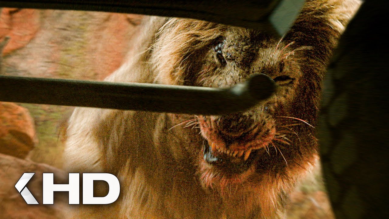 lion attack safari movie