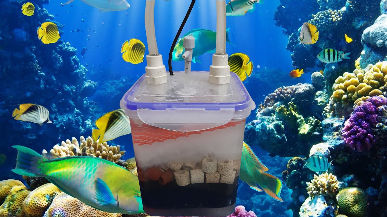 DIY CANISTER FILTER HOW TO USE V4.0 ( 500 LPH ) YouTube