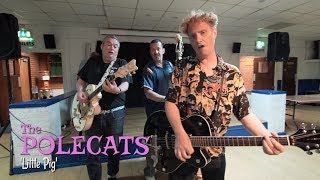 'Little Pig' The Polecats (bopflix sessions) BOPFLIX chords