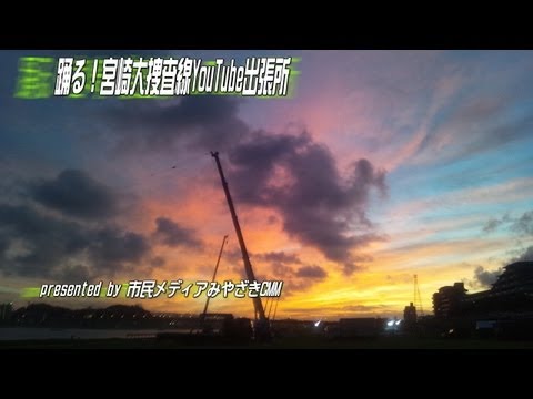 【動画フェス】1000万本のひまわり