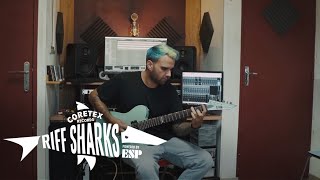 RIFF SHARKS / Nicolas of  LANDMVRKS plays "Rainfall"