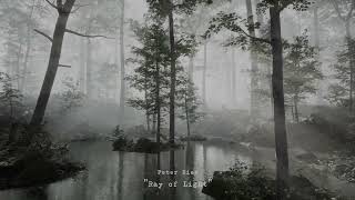 Peter Ries - Ray of Light