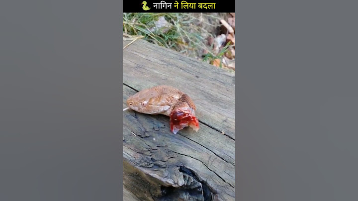 क्या नागिन नाग के मौत का बदला लेती  है |#shorts#youtubeshorts#naagin.