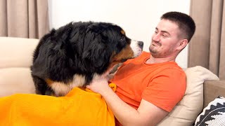 When your Dog suspects that you are eating without him!