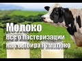 Пастеризация молока,основы процесса ,для чего нужна