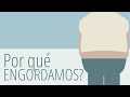 Por qué engordamos? (Gary Taubes)