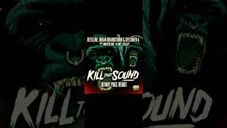 "Kill that sound" - Benny Page Remix
